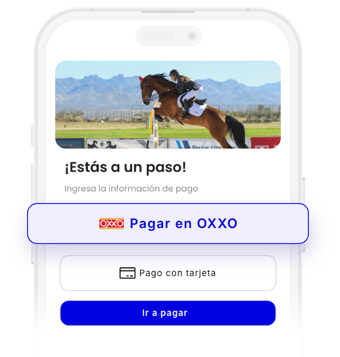 pago en efectivo