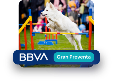vender-boletos-exhibiciones-preventa-bbva